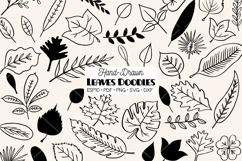 Hand Drawn Leaves | Tropical Foliage Plant Product Image 1