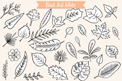 Hand Drawn Leaves | Tropical Foliage Plant Product Image 4