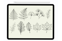 Leaves Procreate Stamps - Procreate Brushes