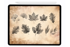Leaves Procreate Stamps - Procreate Brushes