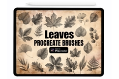Leaves Procreate Stamps - Procreate Brushes