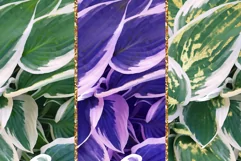 Floral Tumbler Wrap Sublimation. Seamless Tumbler Designs Product Image 2