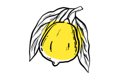 Dolce Vita Lemon Clipart Hand Drawn Italian Summer Product Image 9