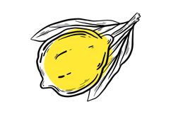 Dolce Vita Lemon Clipart Hand Drawn Italian Summer Product Image 12
