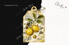 Lemon Honey Vintage Tags | Farmhouse PNG Product Image 2