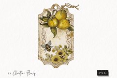 Lemon Honey Vintage Tags | Farmhouse PNG Product Image 1