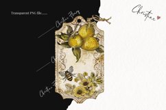 Lemon Honey Vintage Tags | Farmhouse PNG Product Image 2