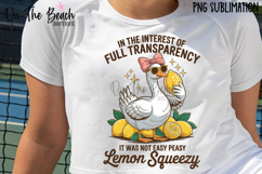 In The Interest of Full Transparency It Was Not Easy Peasy 