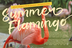 Lemon Talk - Modern Handbrush Font Product Image 8