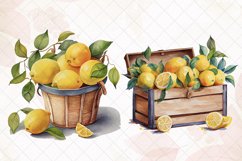 Lemon Watercolor Clipart Sublimation Bundle Product Image 3