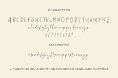 Lemonlove Script Product Image 10