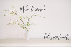 Lemonlove Script Product Image 3