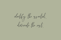 Lemonlove Script Product Image 5