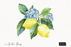 Watercolor Lemons And Flowers | Summer PNG Product Image 1