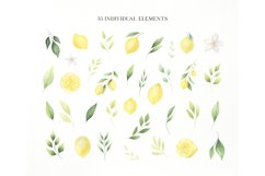 Lemon watercolor illustration clipart PNG Product Image 2