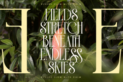 Leodarck - Modern Display Typeface Product Image 8