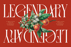 Leodarck - Modern Display Typeface Product Image 11