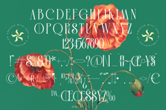 Leodarck - Modern Display Typeface Product Image 18
