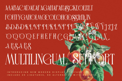 Leodarck - Modern Display Typeface Product Image 19