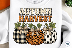 Leopard Fall Bow Pumpkin PNG Product Image 1