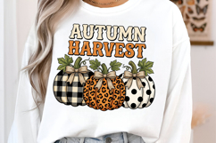 Leopard Fall Bow Pumpkin PNG Product Image 2