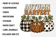 Leopard Fall Bow Pumpkin PNG Product Image 3