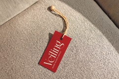 Lermith - Tall Serif Display Font Product Image 3