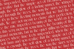Lermith - Tall Serif Display Font Product Image 12