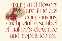 Lermith - Tall Serif Display Font Product Image 13
