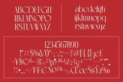 Lermith - Tall Serif Display Font Product Image 18