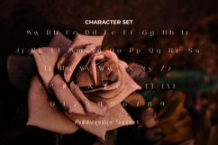 Leshila Product Image 4