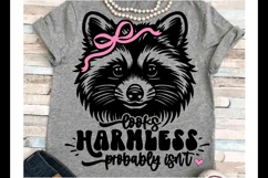 Sarcasm SVG DXF JPEG Silhouette Cameo Cricut raccoon humor Product Image 1