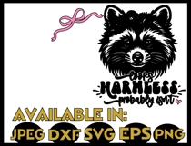 Sarcasm SVG DXF JPEG Silhouette Cameo Cricut raccoon humor Product Image 2