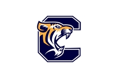 Letter C - Tiger Head Product Image 3