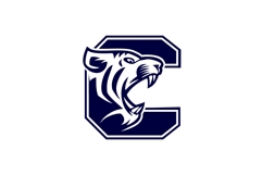 Letter C - Tiger Head Product Image 2