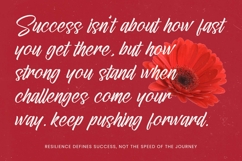 Letterking Quality - Bold Handwritten Font Product Image 10