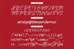 Letterking Quality - Bold Handwritten Font Product Image 18