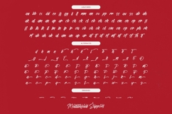 Letterking Quality - Bold Handwritten Font Product Image 19