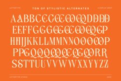 Lettertype a Stunning Display Serif Product Image 8