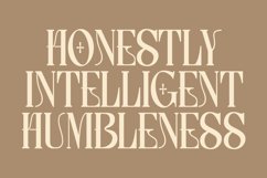 Lettertype a Stunning Display Serif Product Image 13