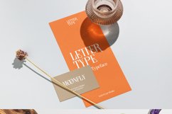 Lettertype a Stunning Display Serif Product Image 14