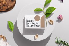 Lettertype a Stunning Display Serif Product Image 19