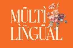 Lettertype a Stunning Display Serif Product Image 20