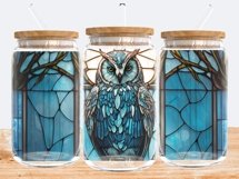 Tumbler Sublimation Owl Bundle, 16 oz glass can wrap, libbey 16 oz template, can glass beer