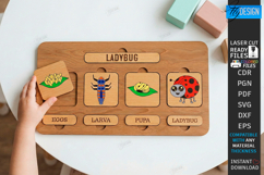Life Cycle Puzzle Laser Cut | Educational Montessori Toy SVG Product Image 1