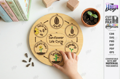Life Cycle Puzzle Laser Cut | Montessori Toys | Kids Laser Product Image 1