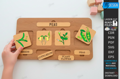 Life Cycle Puzzle Laser Cut Bundle | Educational Toys SVG Product Image 6