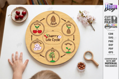 Life Cycle Puzzle Laser Cut | Montessori Toys | Kids Laser Product Image 1