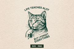 Funny Sarcastic Cat SVG Life Teaches A Lot Design Product Image 1