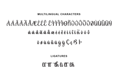 Santoria Elegant Script Font Product Image 3